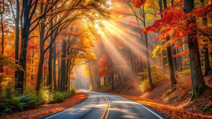 A Winding Road Through a Canopy of Golden and Crimson Autumn Leaves, Bathed in the Warm Glow of Sunlight