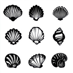 Black and white seashell icons in various shapes and designs, perfect for decoration