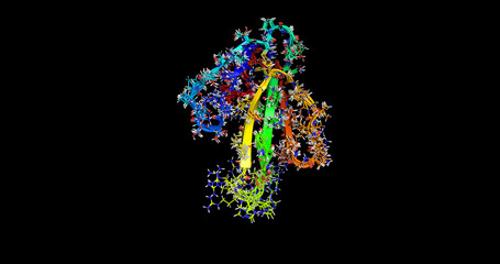 Curaremimetic Toxin from Naja nigricollis (Black-necked spitting cobra) Venom, 3D molecule 4k