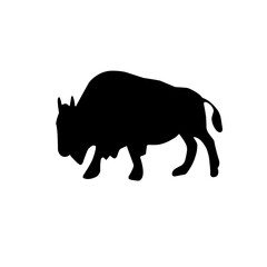 animals black silhouette