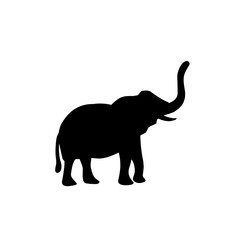 animals black silhouette