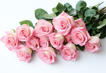 Obraz premium A Bouquet of Lovely Pink Roses on White Background