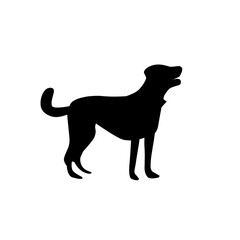 Forest animals silhouette