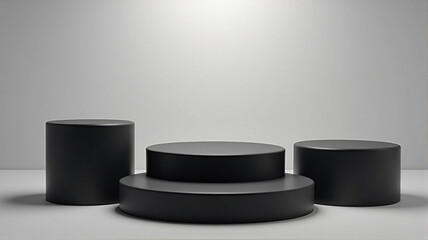 hockey puck on white background