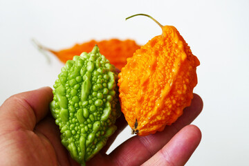 ripe and yellowed Momordica charantia (Honey melon), one of the medicinal fruits