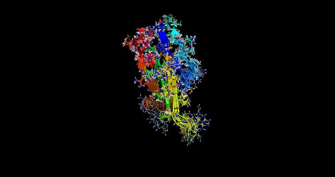 Curaremimetic Toxin from Naja nigricollis (Black-necked spitting cobra) Venom, 3D molecule spinning 4k