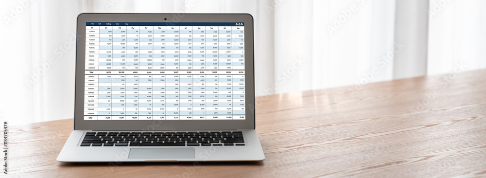 Poster accounting software on computer screen showing financial statement spreadsheets and account balance 