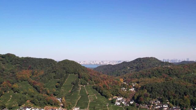 Drone flight over Long Jin tea mountain at Hangzhou, Zhejiang province, China. Flying aerial view of beautiful tea plantation, Longjin village and west lake xihu cityscape, 4k real time footage.