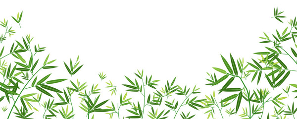 Template background natural bamboo leaves. decoration card, banner and backdrop