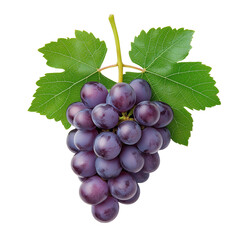Fototapeta premium Fresh Purple Grapes Isolated isolated on white or transparent background, png clipart, design element