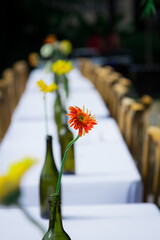 flowers on the table