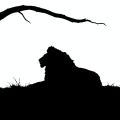Naklejka premium Silhouette of a lion resting in the shade of a tree branch.