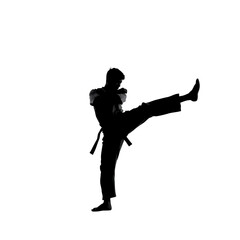 Silhouette of a martial artist in a high kick pose, demonstrating power and strength.