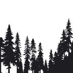 Silhouette of tall pine trees on a white background, simple nature illustration.