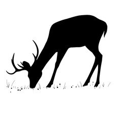 Silhouette of a deer grazing in a field.