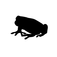 Frog silhouettes