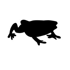 Frog silhouettes