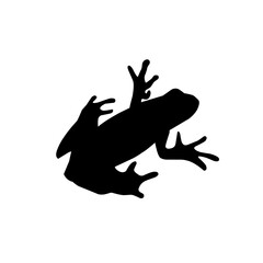 Frog silhouettes