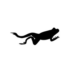 Frog silhouettes