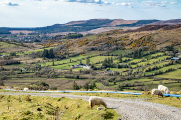 The blue water supply pipe coming from of Lough Anna, the drinking water supply for Glenties and Ardara - County Donegal, Ireland