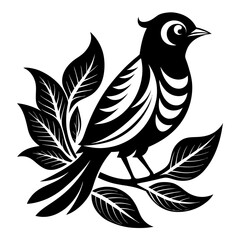 Obraz premium Rufous-Bellied Thrush silhouette