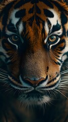 Obraz premium Dramatic wildlife image displaying raw beauty of the animal kingdom.