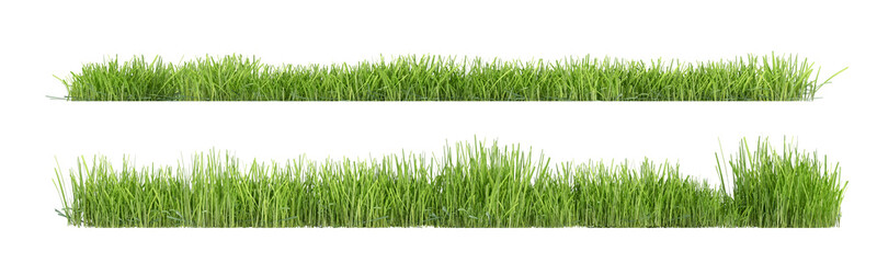 Isolated green grass on transparent