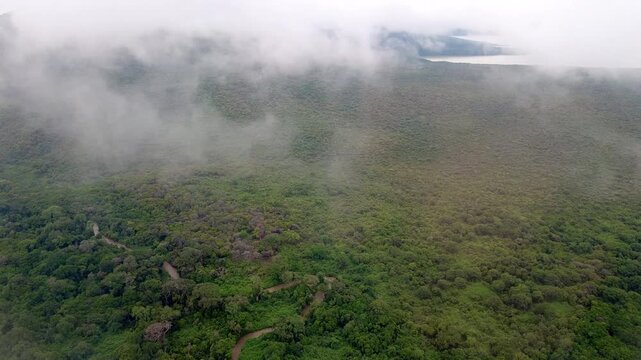 Aerial view of tropical forest in Nechisar National Park in Ethiopia near Arba Minch