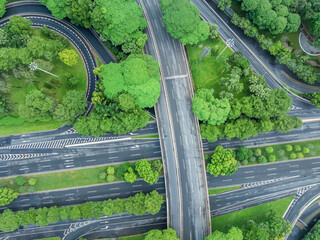 Highway viaduct and woods landscape