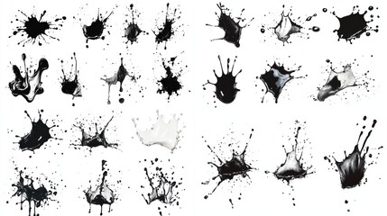 Obraz premium Black and White Liquid Splatter Art Collection