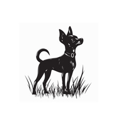 Miniature Pinscher dog walks on the grass silhouette vector isolated on white background.