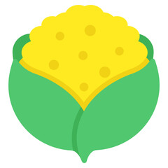 Premium design icon of cauliflower