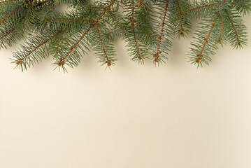 Beige background with Christmas tree branches. Flat lay, top view. Copy space