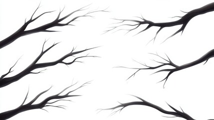 Fototapeta premium Elegant Bare Branches Graphic Design