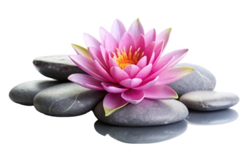 spa stones and pink flower