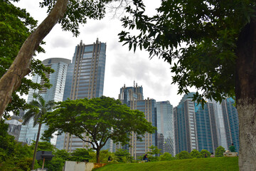 Obraz premium View of office buildings in Jakarta from the City Forest in the Gelora Bung Karno area, Jakarta, December 15, 2024