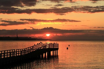 Fototapeta premium Dramatischer Morgenhimmel mit Seevögeln auf der Seebrücke.