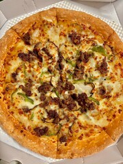 A delicious pizza with a golden crust, melted cheese, and savory toppings. Perfect for food-related designs, menus, or Italian-themed projects, capturing the essence of a classic comfort dish.
