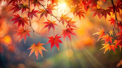 Autumn leaves bathed in warm sunlight, displaying vibrant shades of red, orange, and yellow, creating a picturesque scene of seasonal beauty