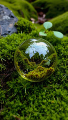 Glass globe on green moss in nature concept for environment and conservation, with white tones