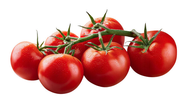Frische Tomaten ausgeschnitten: Saftige rote Tomaten f&uuml;r gesunde Ern&auml;hrung und vielf&auml;ltige Rezepte