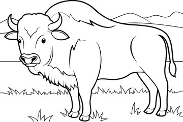 American Bison Line Drawing, Wildlife, Nature, Coloring Page, Animal, Mammal, Grassland Habitat, Nor