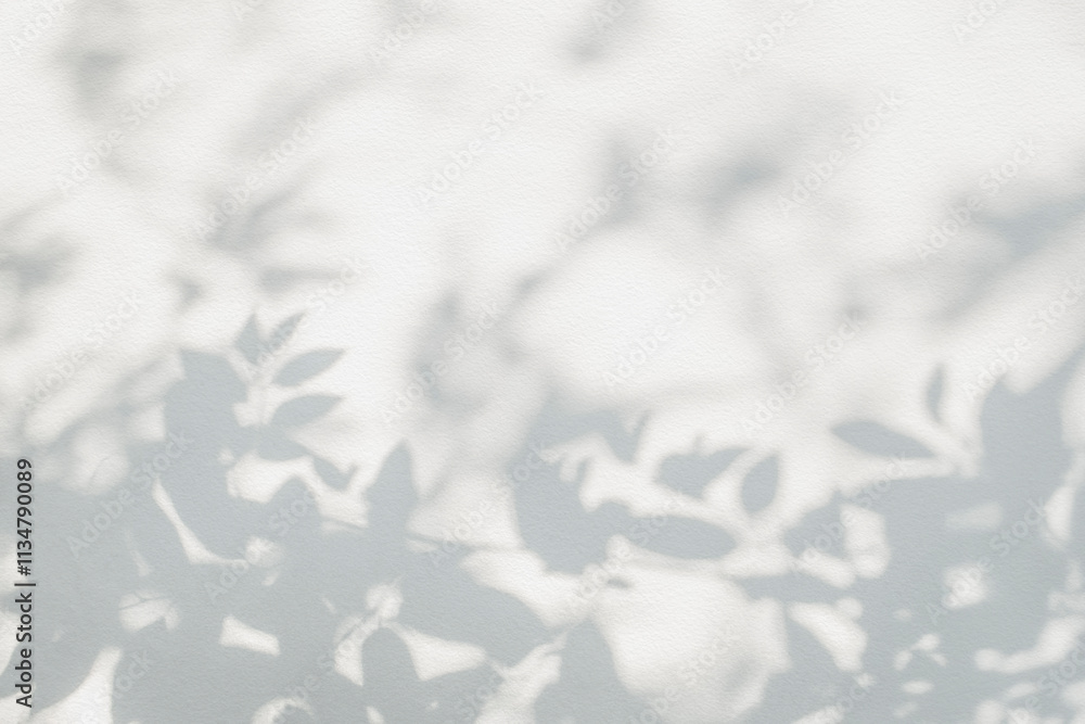 Poster leaf shadow and tree branch background. nature leaves tree branch light bokeh shadows sunlight sunsh