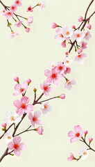 Fototapeta premium Cherry Blossoms on Cream Background, Spring Floral Design