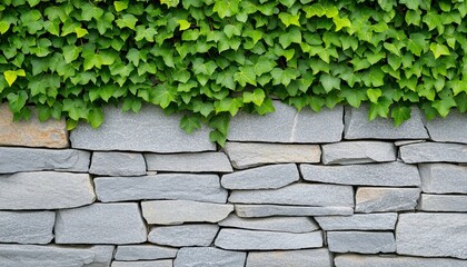 A textured stone wall topped with vibrant green ivy leaves, creating a natural and rustic aesthetic.