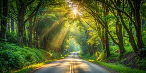 A winding road through a lush forest, bathed in the golden glow of the morning sun, creating a picturesque scene of natural beauty