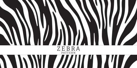Zebra striped pattern. Wild animal skin artwork background. Black and white illustration © kikicandrra