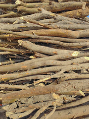 A lot of brown wood dried of tweak stacks wooden background