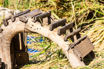 traditional rice grain thresher tool, made from wood and bamboo