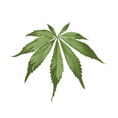 Cannabis leaf. Marijuana legalize symbol.